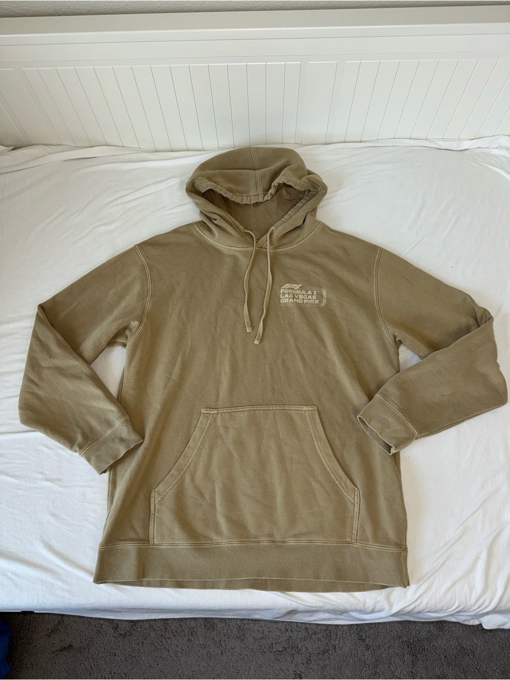 Formula 1 Racing Hoodie